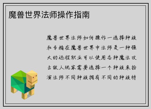 魔兽世界法师操作指南